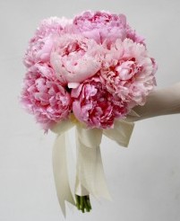 Peonias