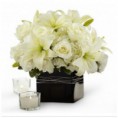 Blanco al Cubo