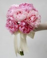 /album/fotogaleria/peonias-jpg1/